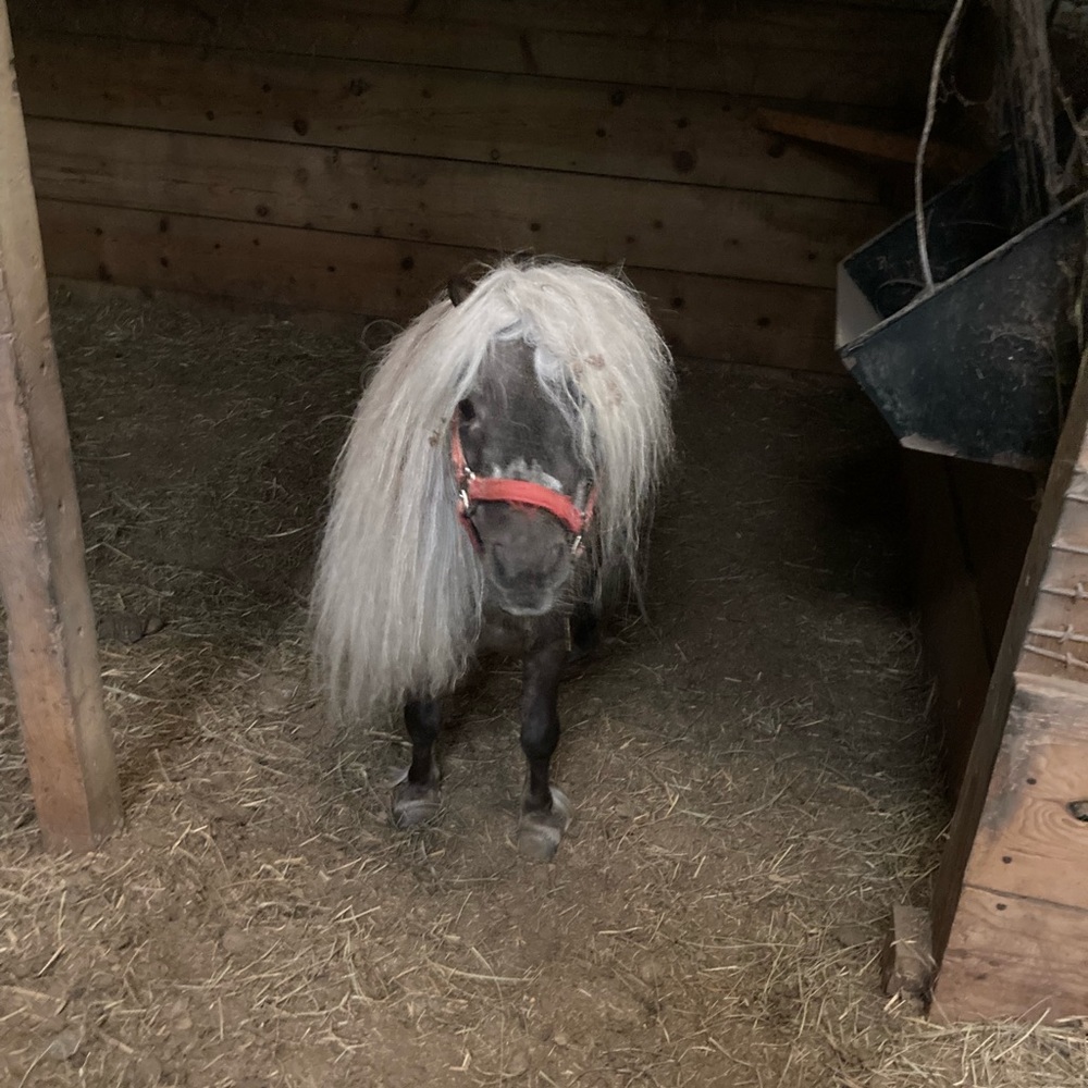 Meet your Posher, Melissa